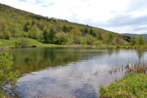 1 of 4  ponds. This pond is 1 acre and Fully stocked.