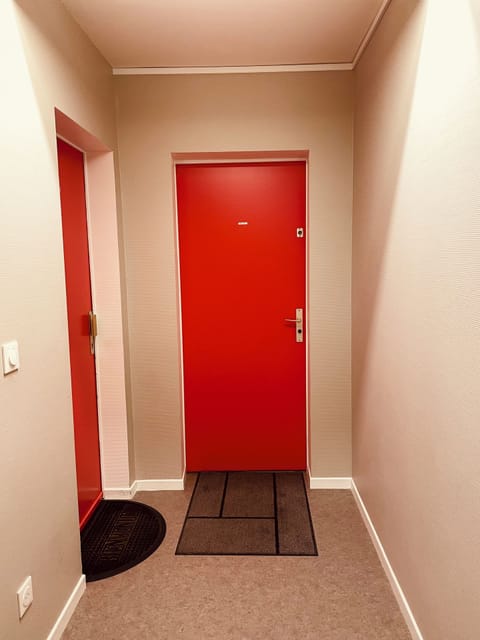 Entrance to the apartment