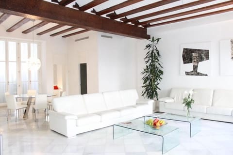 Huge living space - Loft