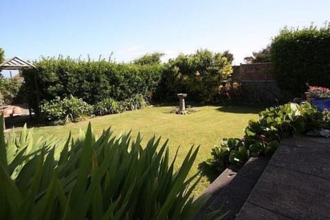 Enclosed back garden garden and patio