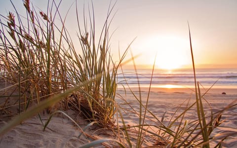 Miles of golden beach on your doorstep