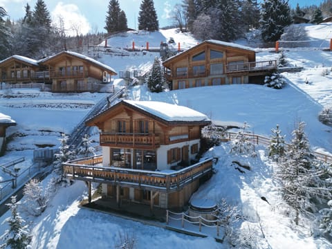Chalet Sapin Argente - 1