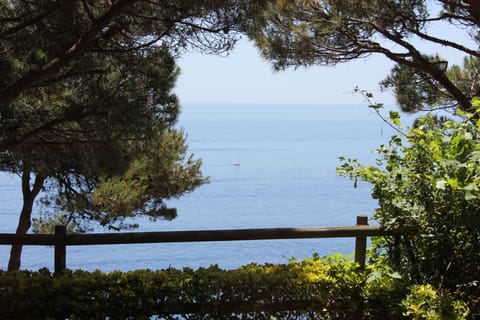 Unbroken sea views on every level, apart from the odd pine tree of course!