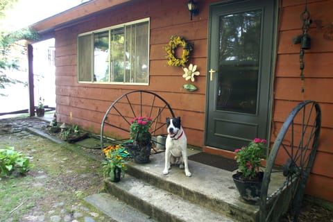 The side door- Meet our pooch Melvin! He really wanted to model.