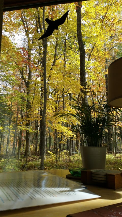 Fall view out the big picture windows.