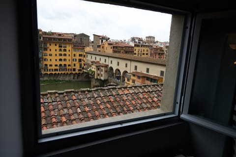 the view from the living's window