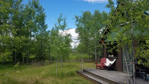 Northern views and lots of aspens for shade...