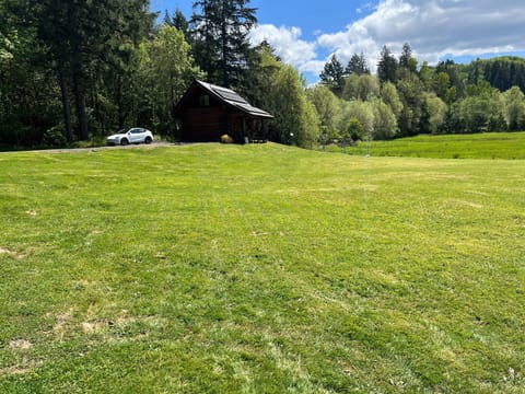 Front Yard and Parking