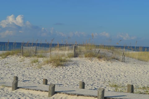 Amazing white sand beaches 