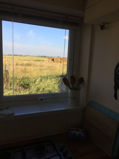 View out of side window in kitchen showing gas hob