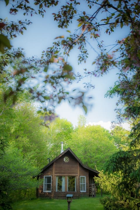 Nestled in the woods