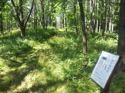 Groomed hiking trail, with informational markers, allow guests to enjoy nature. 