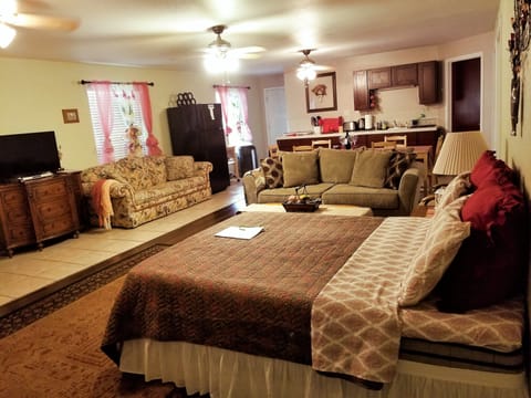 Entier Room/Living Room