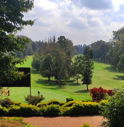 Golf view