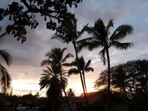 Spectacular sunsets viewed from your lanai/patio deck