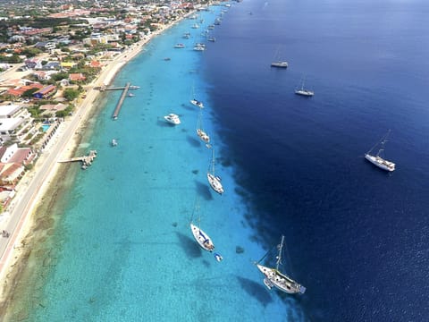 Stroll along downtown Kralendijk's vibrant malecón, where stunning views of sailboats gliding on blue waters and the picturesque Klein Bonaire await.