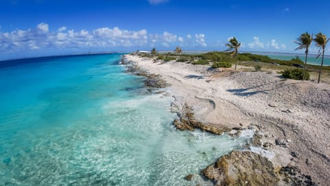 Add a guided snorkel tour with Saskia to your stay and experience Bonaire’s clear water, colorful fish, and beautiful coral reefs.