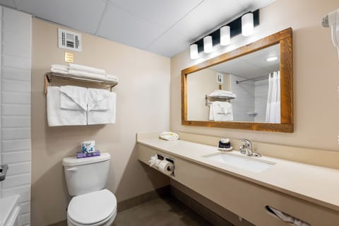 Free toiletries, hair dryer, towels