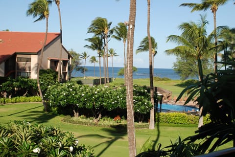 View from lanai