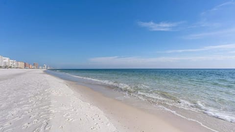 GULF SHORES BEAUTIFUL BEACHES
