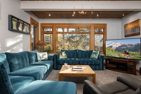 Living Room with Natural Light