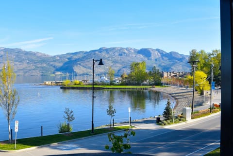 Enjoy the beautiful and peaceful view from your private 600 sf patio. 