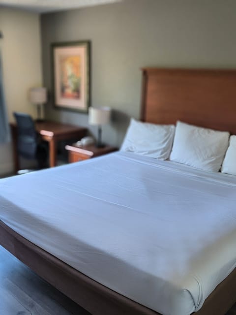 Desk, iron/ironing board, free WiFi, bed sheets