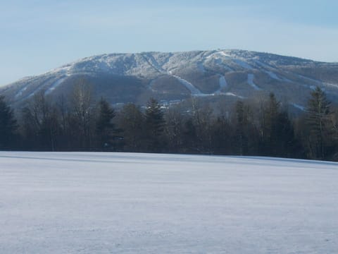 .View from our Front yard
