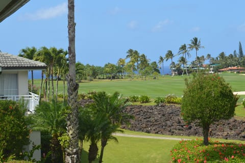 View from the lanai.