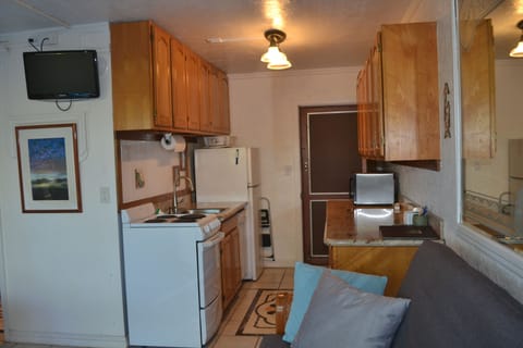 fridge, dishwasher, stove, microwave