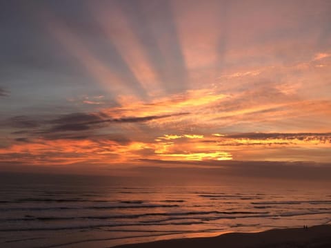 Wake up to the sounds of the ocean on beautiful New Smyrna Beach 