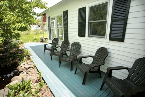 Pond, frog and peach tree viewing area