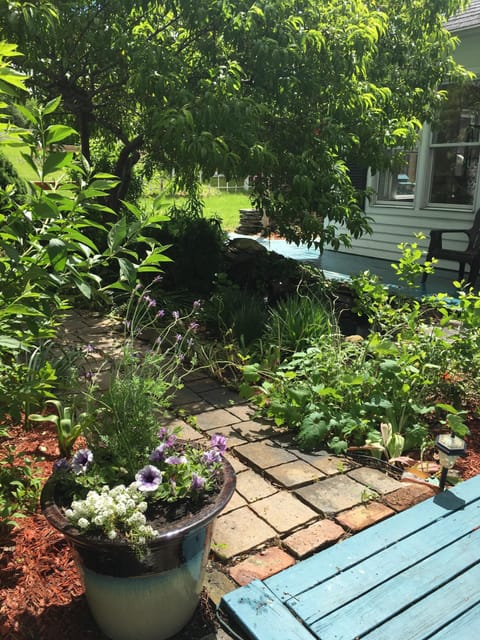 side garden with pond, open the breakfast room windows to hear the birds!