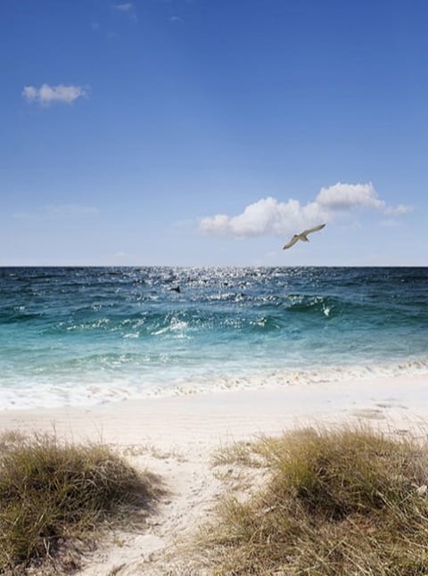 GOULD'S INLET SSI