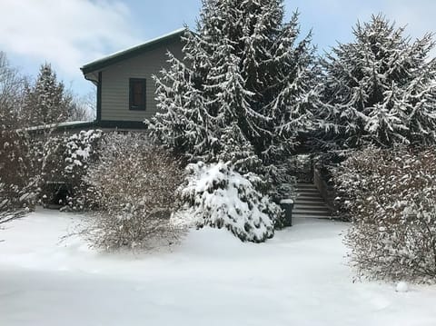 Fresh winter snow fall
