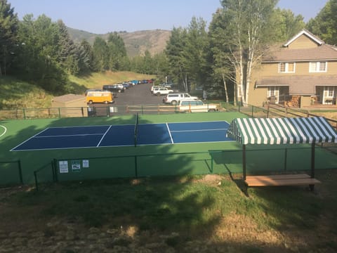 Pickleball Court