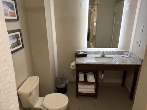 Suite, 1 King Bed, Non Smoking (Efficiency) | Bathroom | Combined shower/tub, hydromassage showerhead, free toiletries