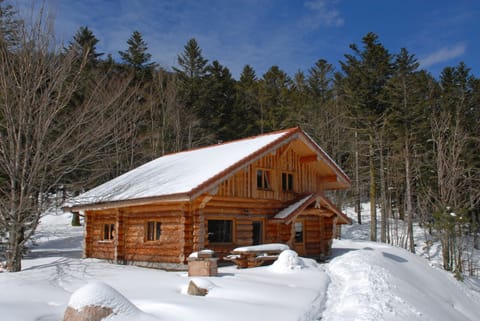 Chalet en rondin hiver neige toute saison activité Vosges