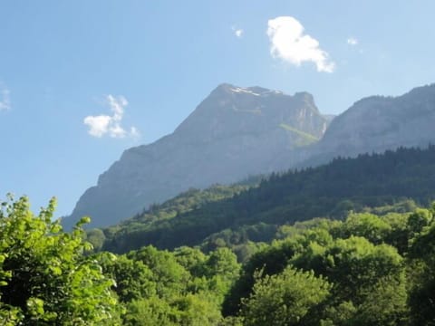 FARM LOCATED IN THE HEART OF THE HIGH-SAVOIE HALFWAY BETWEEN Chamonix, Annecy, Geneva House in Arâches-la-Frasse