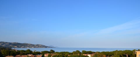 View from the terrasse