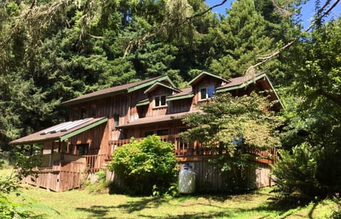 The back of Haven in the Redwoods