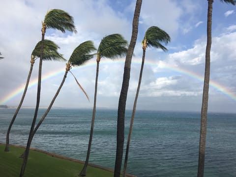 Find your luxurious vacation getaway at the end of the rainbow