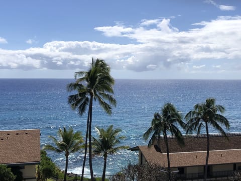 View from (newly replaced!) lanai