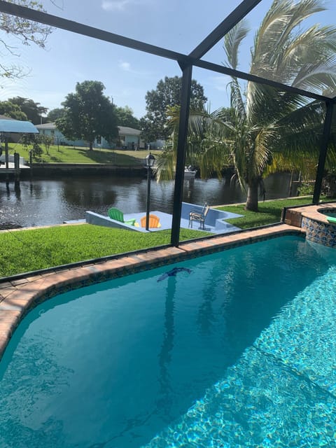 Boat dock and coconut tree