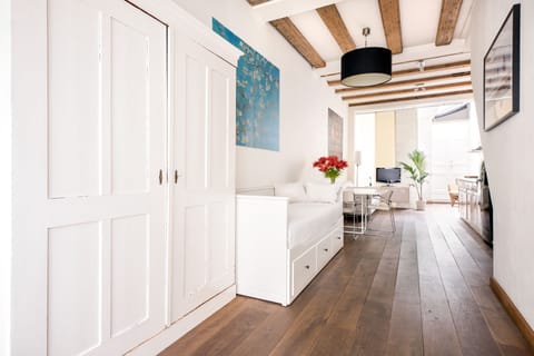 View through the studio apartment from the front