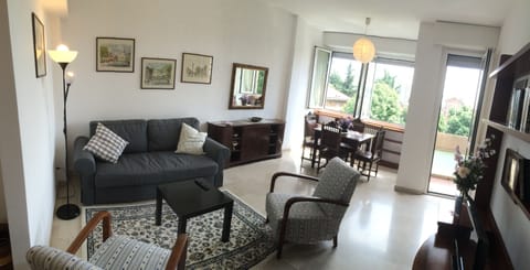 Living room with sofa bed and the view on the garden 