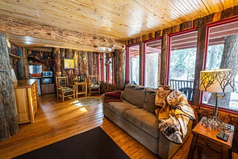 Downstairs living room with sleeper sofa, fireplace, tv, sitting area