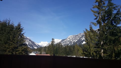 Gorgeous mountain view from our Grand Chalet.