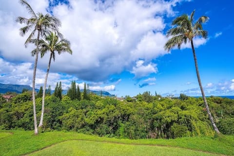 The 180* View of Mountains, Waterfalls, Jungle Valley & Distant Ocean Views