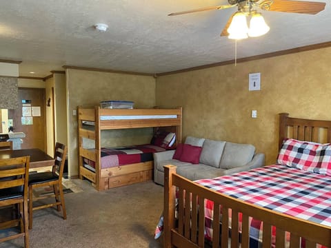 Bedroom/Living Area with Queen Bed, Pull-Out Sofa, Closet,  Dresser & 55" TV